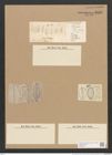 Amphora hyalina Kuetz. (de-Toni-Nr.: Genus 36, Species 1619) Zeichnungen Sammlung Grunow Nr. 3102 (NHMW-BOT-W0370517)